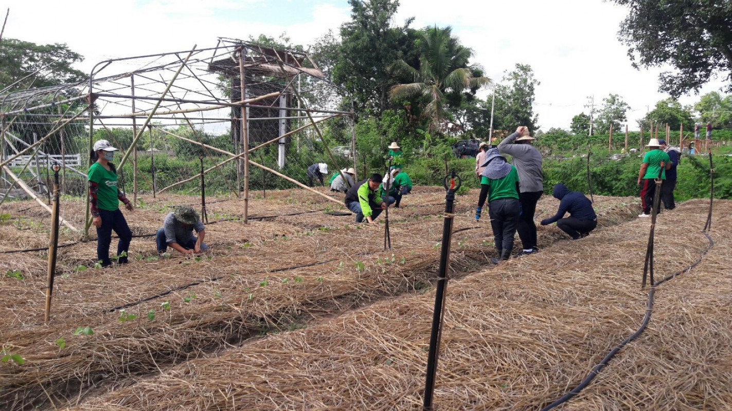 โครงการศูนย์เรียนรู้ปรัชญาเศรษฐกิจพอเพียงหนองควายหลวง  นายวีรศักดฺิ์  ธรรมปัญโญ และคณะผู้บริหาร  พนักงานเจ้าหน้าที่  ของ อบต.ดอยงาม ร่วมใจกันปลูกผักในศูนย์การเรียนรู้เศรษฐกิจพอเพียงหนองควายหลวง.  เพื่อเป็นแปลงสาธิตแหล่งเรียนรู้ในการการปลูกผักปลอดสารพิษ ให้กับพี่น้องประชาชนไปเข้ามาเรียนรู้  อีกทั้ง ผลผลิตที่ได้สามารถให้พี่น้องประชาชนและพนักงานเจ้าหน้าที่ นำไปประกอบอาหาร  หรือ จำหน่ายสำหรับผู้ที่สนใจอีกด้วยครับ.